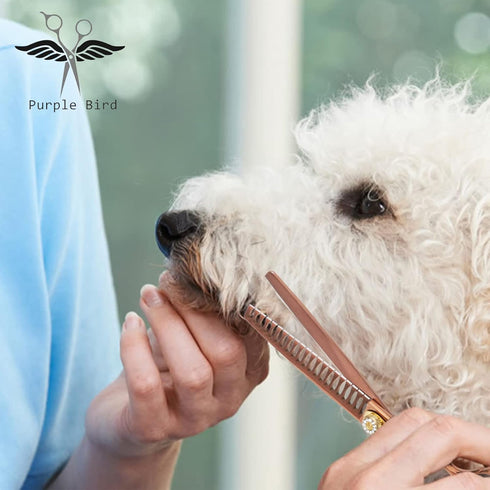 PURPLEBIRD 7 Inch 21-Teeth Chunkers Dog Grooming Scissors, Professional Blunt Tip Trimming Shears for Dogs Cats