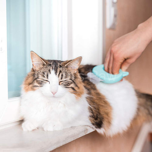 Leo's Paw The Original Soft Deshedding Brush, Massaging Shell Comb for Grooming Long and Short Hair Cat Dog Bunny (Mint)