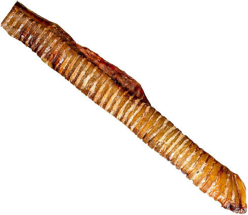 12” Trachea for Dogs | 10 Pack | 100% Natural Beef Chew from Free-Range Cattle
