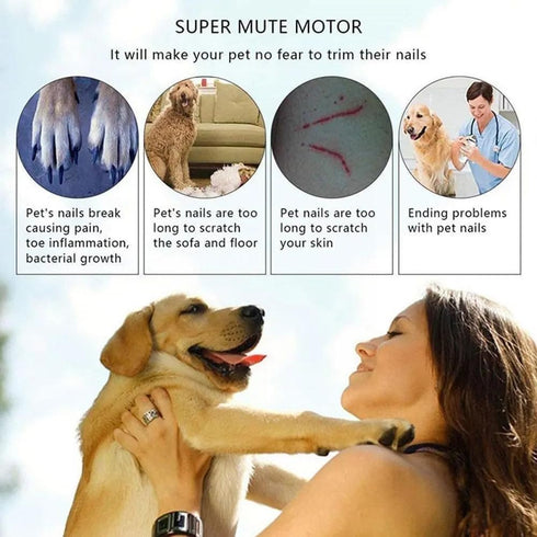 3 Pack Dog Nail Grinder, Regular and Extra Hard Replacement Heads for Small and Large Dogs, Premium Quality