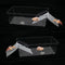 2 Pack Large Transparent Hermit Crab Water Tank with Climbing Ramp for Small to Large Hermit Crab Habitat