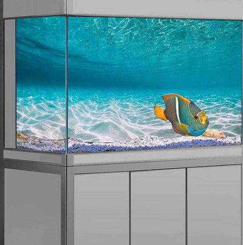 72X18IN Natural Undersea Aquarium Background, Undersea Beach Fish Tank Background with 8 EVA Double-Sided Tape