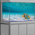 72X18IN Natural Undersea Aquarium Background, Undersea Beach Fish Tank Background with 8 EVA Double-Sided Tape