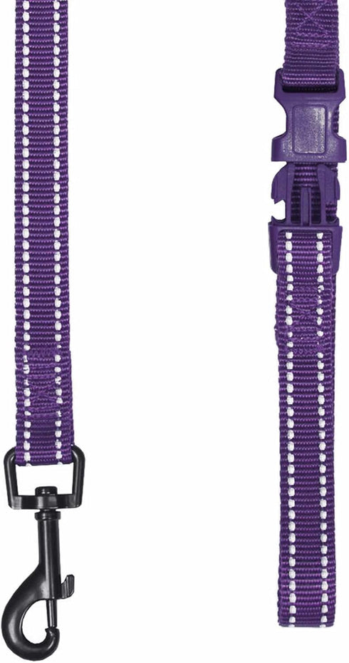 Durable 3M Reflective Classic Dog Leash 4 ft x 1", Violet, Large by Blueberry Pet Essentials