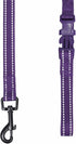 Durable 3M Reflective Classic Dog Leash 4 ft x 1", Violet, Large by Blueberry Pet Essentials