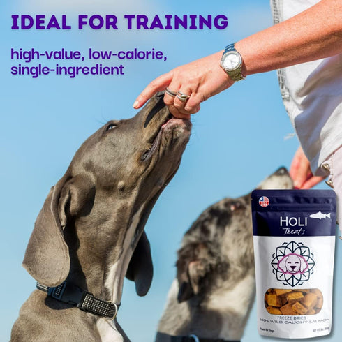 HOLI Freeze Dried Salmon Dog Treats, with Omega 3 and 6 Fish Oil, All Natural, Human Grade, Grain Free
