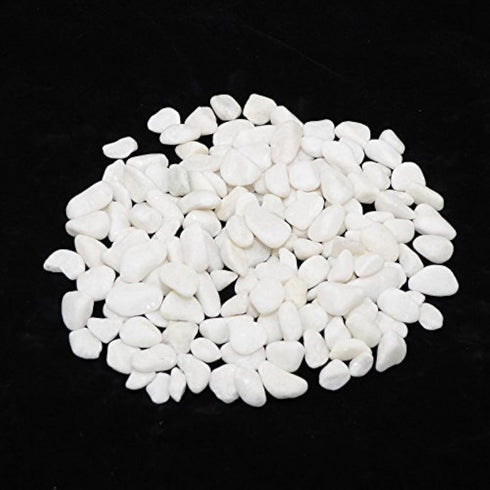 CNZ Polished Snow White 5 Pounds for Plant Aquariums, 0.8-1.5 inch for Landscaping