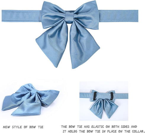 Lionet Paws Bowtie Dog Collar, Comfortable Silk Collar with Detachable Bow Tie for Medium Dogs, Neck 13.5-22 Inches