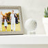 Juvale Crystal Golf Trophy Award - 2 in Clear Crystal, Display Stand Base & Presentation Gift Box