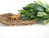 Reptile Plants 12 inches Hanging Silk Terrarium Plant with Suction Cup for Bearded Dragons, Lizards, and Geckos