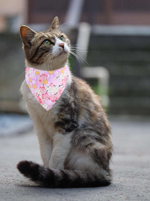 Adjustable Cat Collars with Bandana Bell, Breakaway Japanese Pet Kitten Collar for Small Dogs, Puppies, Girl, Boy