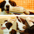 Deshedding Grooming Tool for Dogs, Cats & Horses, Ergonomic Wood Groom Brush, Professional Pet Groomer, 5 Inches