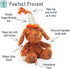 Pet London Happy Birthday Dog Toy - 2 Toys in 1-Plush Dog and Detachable Present- Celebrate Dog's Bday or Adoption - Soft Gift for Dog or Pup with Birthday Message, Squeaky, Great Animal Gift