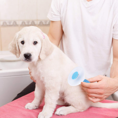 Depets Self Cleaning Slicker Brush, Dog Cat Bunny Pet Grooming Shedding Brush for Long or Short Hair
