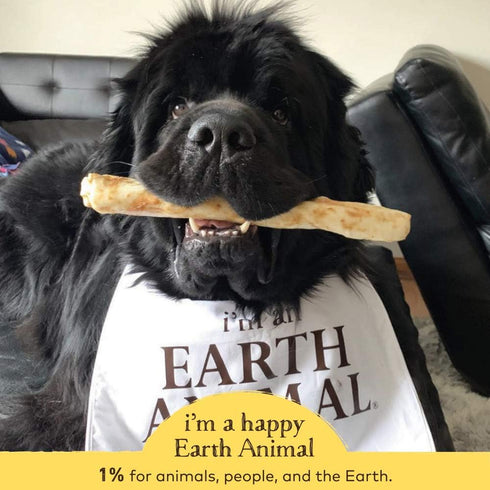 Earth Animal No-Hide Large Peanut Butter Flavored Rolls - Natural Rawhide Alternative Dog Chew for Large Dogs
