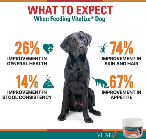 Vitalize Dog Digestive Health Powder - Relief for Constipation, Nausea, Skin & Coat Supplement, 1 Pound
