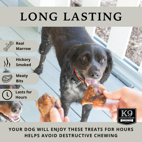 K9 50 1 Pack 3 Count Connoisseur Dog Bones Made in USA for Small and Medium Breed Dogs Natural Long Lasting Meaty Beef