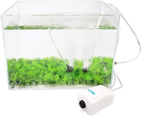 100 Feet Standard 3/16" Aquarium Air Tubing, Clear Flexible Airline Tubing for Fish Tank Air Pump and Hydroponics