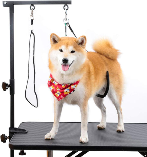 Breeze Touch Dog Grooming Arm, 35" Table Arm with Clamp, Loop Noose, No Sit Haunch Holder for Small & Medium Dogs