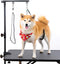 Breeze Touch Dog Grooming Arm, 35" Table Arm with Clamp, Loop Noose, No Sit Haunch Holder for Small & Medium Dogs