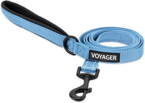 Voyager Reflective Dog Leash, Neoprene Handle, 5ft Long, Supports Small Medium Large Breed Puppies, Baby Blue