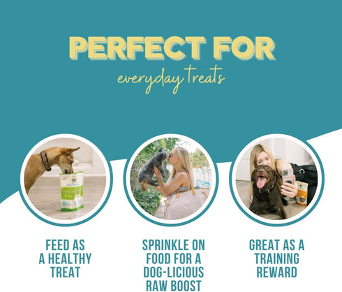Chicken Meat Medley Freeze Dried Dog Treats - USA Sourced, Human-Grade, All Natural, Grain Free, 3 oz