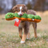 Fluff & Tuff Katie The Caterpillar Toy