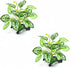 2 pcs Reptile Artificial Plants, Terrarium Decorations, Amphibian Habitat Hideout Tank Accessories