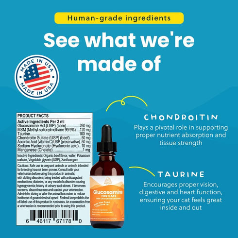 100% Natural Liquid Glucosamine Chondroitin with MSM – Hip & Joint Supplement for Senior Cats, 2 Oz