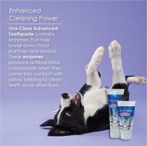 3 oz Advanced Enzymatic Toothpaste for Dogs, Peanut Butter Flavor Dog Toothpaste, Helps Clean Teeth & Freshen Breath