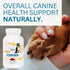 Chewable Dog Nutrition Companion - 60 Beef Tabs for Puppies to Adults