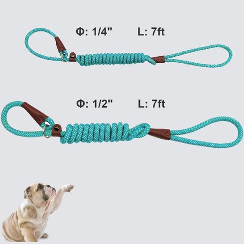 BTINESFUL 7FT Slip Lead Dog Leash, Strong Nylon Rope, 1/4 & 1/2 inch Diameter for Small Medium Large Dogs - Green Dot