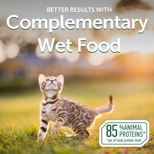 2.46-oz 24 Pack) Nature's Protection Wet Cat Food in Gravy - High Protein, Natural & Soft Tuna Fish & Sea Bass Shreds