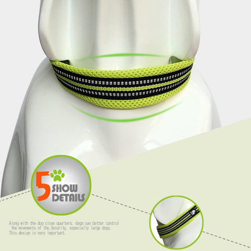 Creation Core Reflective Mesh Padded Dog Collar - Adjustable Nylon Outdoor Adventure Pet Collar, Green M