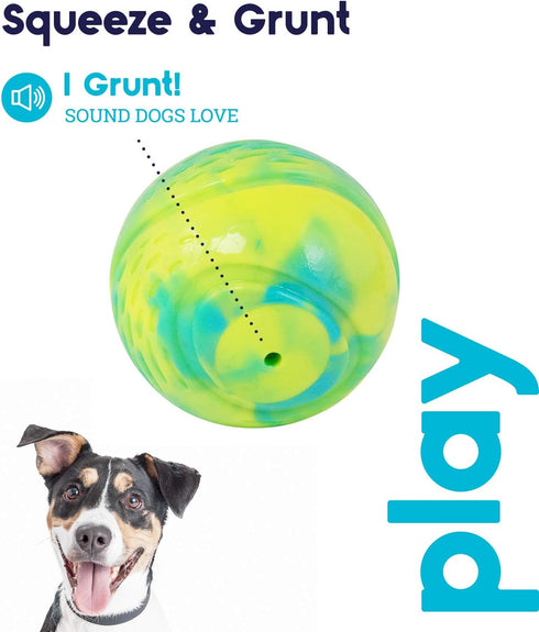 Petstages Grunt N' Punt Tennis Ball Fetch Dog Toy