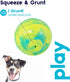Petstages Grunt N' Punt Tennis Ball Fetch Dog Toy