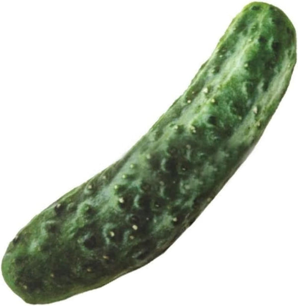 PurYupearl Green Cucumber Food Shape Squeaky, Cute Pet Toys Chew Toys for Small