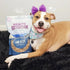 Health Extension 6oz Oven-Baked Dog Treats, Lamb & Blueberry Recipe – Gluten & Grain-Free, Crunchy Biscuits