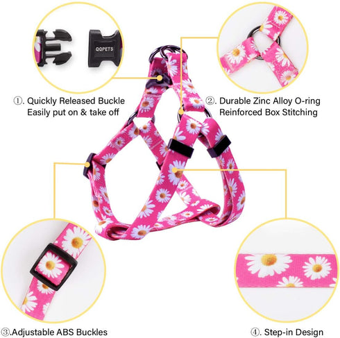 QQPETS Adjustable Dog Harness Leash Set, Heavy Duty No Pull Halter for Small Medium Large Dogs, Back Clip, Anti-Twist,