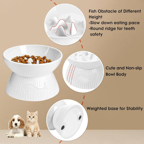 Elevated Slow Feeder Cat Bowl, Ceramic, Spill-Proof & Anti-Tipping, Easy to Clean, Raised for Dry & Wet Food