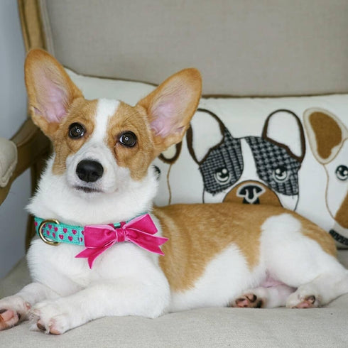 Blueberry Pet Dog Collar with Bowtie, Adjustable Neck 14.5-20", Lust Red Heart Design