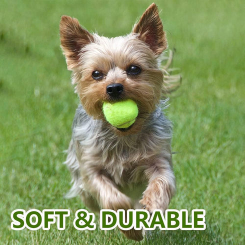 BESTHLS 16 Pack Pet Ball for Dog Small 2inch Tennis Balls for Tiny Small Dogs, Fetching Exercise & Training