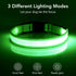LED Dog Collar, Adjustable USB Rechargeable Light Up Safety Glowing Collar for Dogs, Small, Green