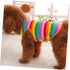 Live Aquarium Plants Dog Vest - Funky Striped Shirt for Dogs, Blue Aquarium Gravel Shirt