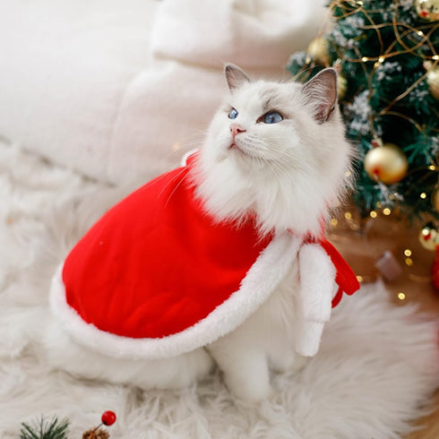 ANIAC Pet Christmas Costume Poncho Cape with Hat, Santa Claus Cloak for Cats & Small Dogs (Large, Red)