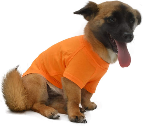 Lovelonglong Pet Clothing, Dog Costumes Blank T-Shirt for Dachshund & Corgi Dogs (100% Cotton, Orange, D-L)