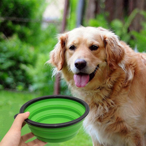 Collapsible Water Bowls for Cats Dogs, 2 Pack, Portable Pet Feeding Dish for Traveling, Large, Blue+Green