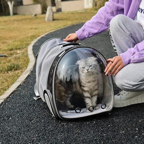 Expandable Cat Backpack Carrier Bubble, Airline Approved Pet Carrier Backpack for Large Cats and Small Dogs up to 20 lbs