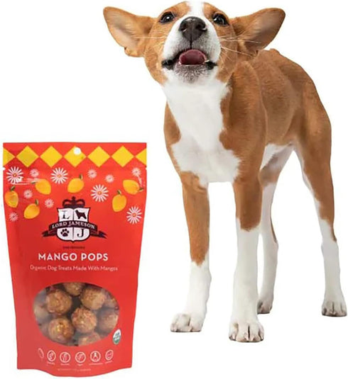 Mango Pops Organic Dog Treats, Made with Real Mango, 6 oz. Bag