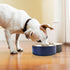 40 Oz Stainless Steel Dog Bowl for Food and Water, Durable Non-Skid Double Wall Insulated, Heavy Duty, Blue
